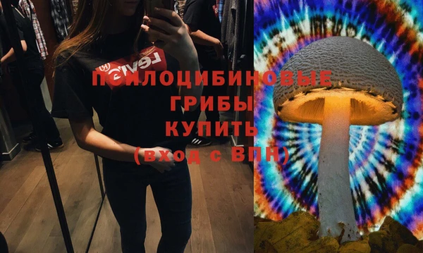 марки lsd Бородино