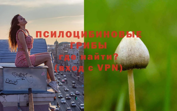 марки lsd Бородино